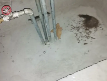 昌邑卫生间测漏水价格明细